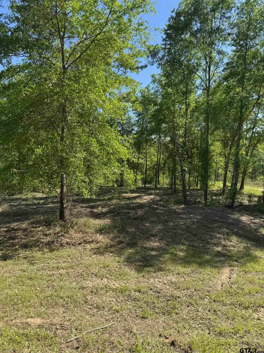 24337 FM 838, Overton, TX 75684 - Image #3