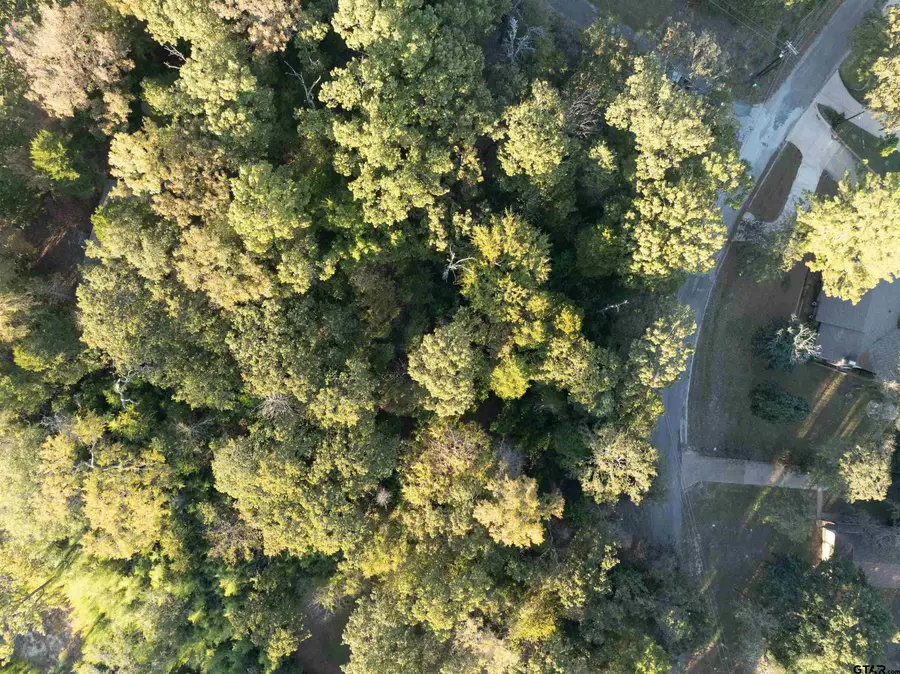 000 Callender Lake Drive, Murchison, TX 75778 - Image #2