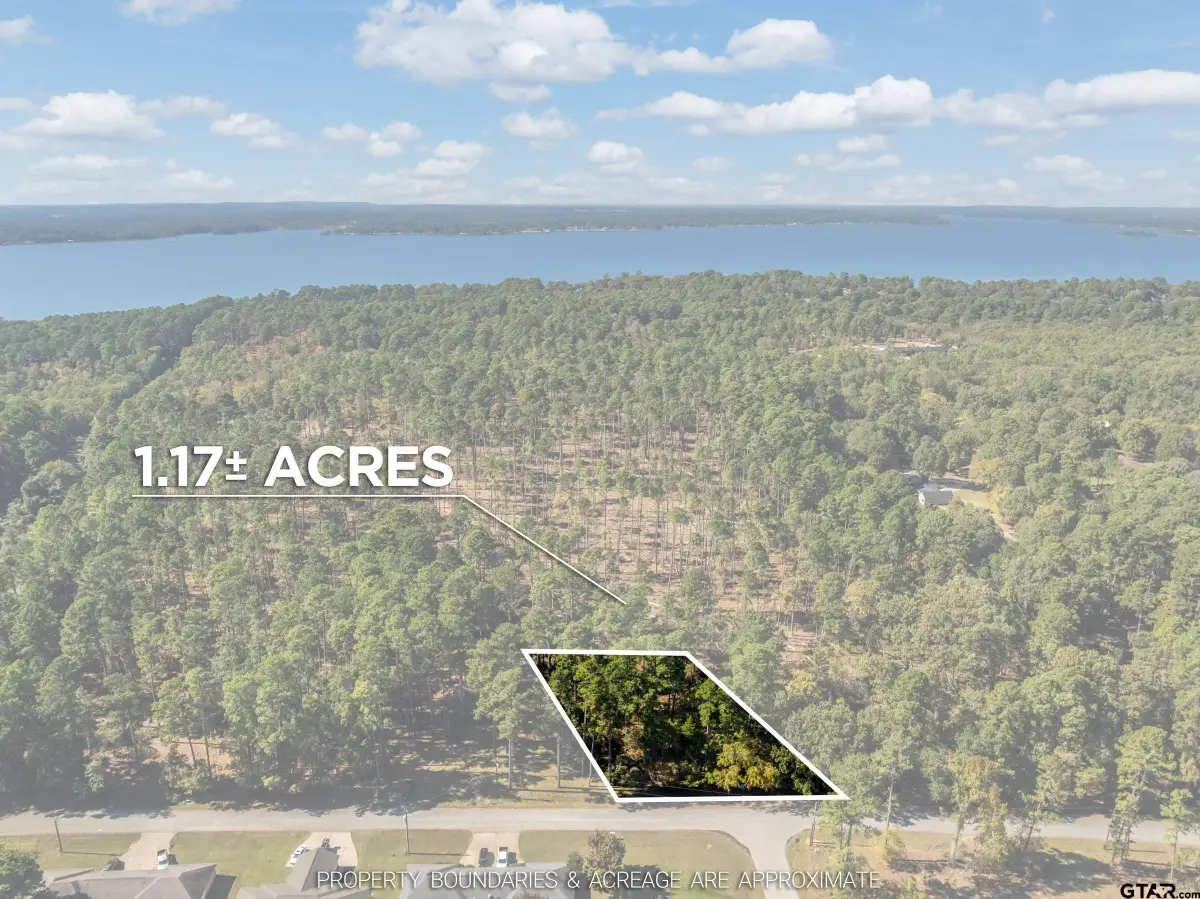 0 Pintail, Flint, TX 75762 - Image #1