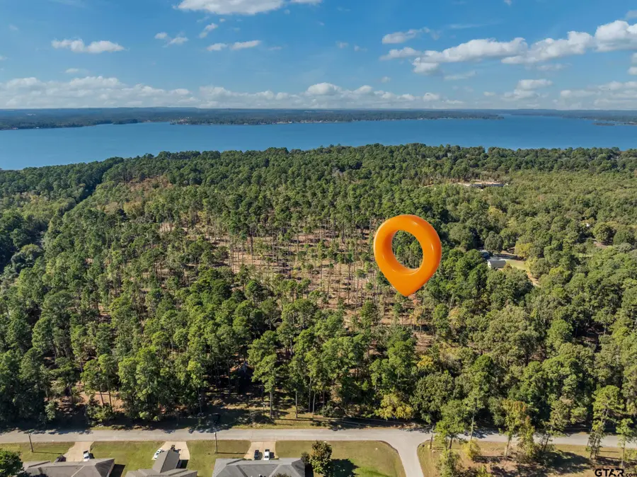 0 Pintail, Flint, TX 75762 - Image #2