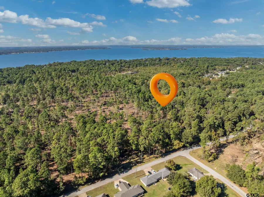 0 Pintail, Flint, TX 75762 - Image #3