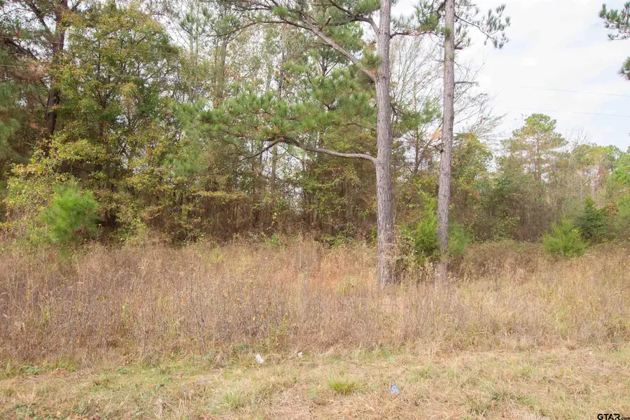 TBD FM 2012, Overton, TX 75684 - Image #2