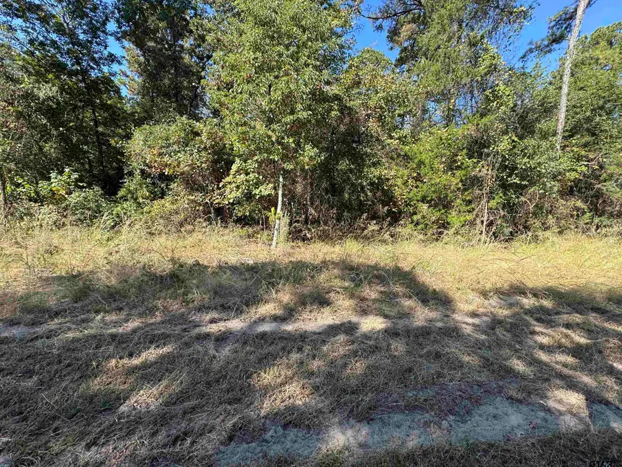 Lot 336 King Bernanrd, Scroggins, TX 75480 - Image #2