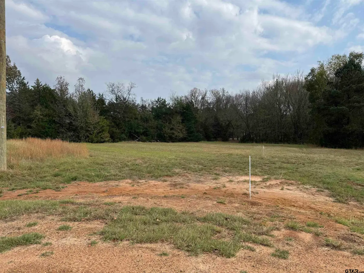 Lot 16 Hunters Hollow, Mount Vernon, TX 75457 - Image #1