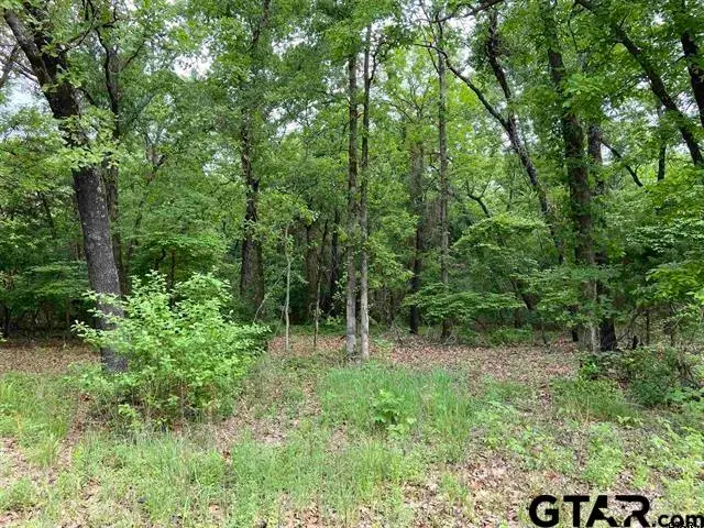 23526 FM 1995, Lindale, TX 75771 - Image #1