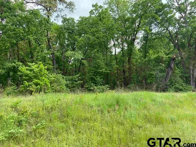 23526 FM 1995, Lindale, TX 75771 - Image #2