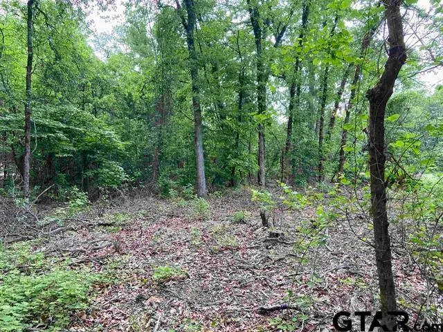 23526 FM 1995, Lindale, TX 75771 - Image #3