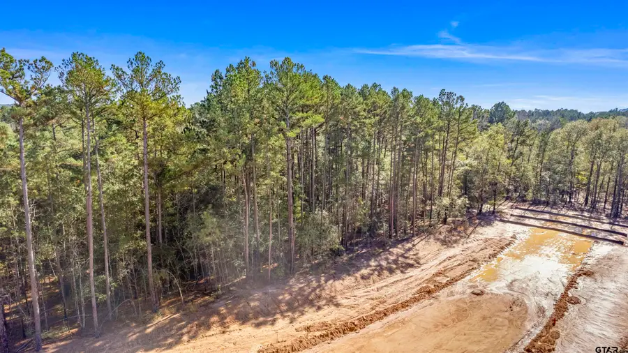 7248 Cherryhill Dr, Tyler, TX 75703 - Image #2