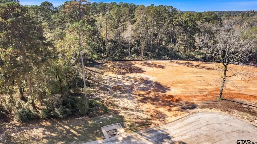 8811 Wilder Trail, Tyler, TX 75703 - Image #3