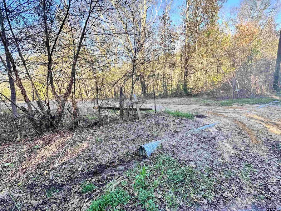0 CR 4302, Larue, TX 75770 - Image #3