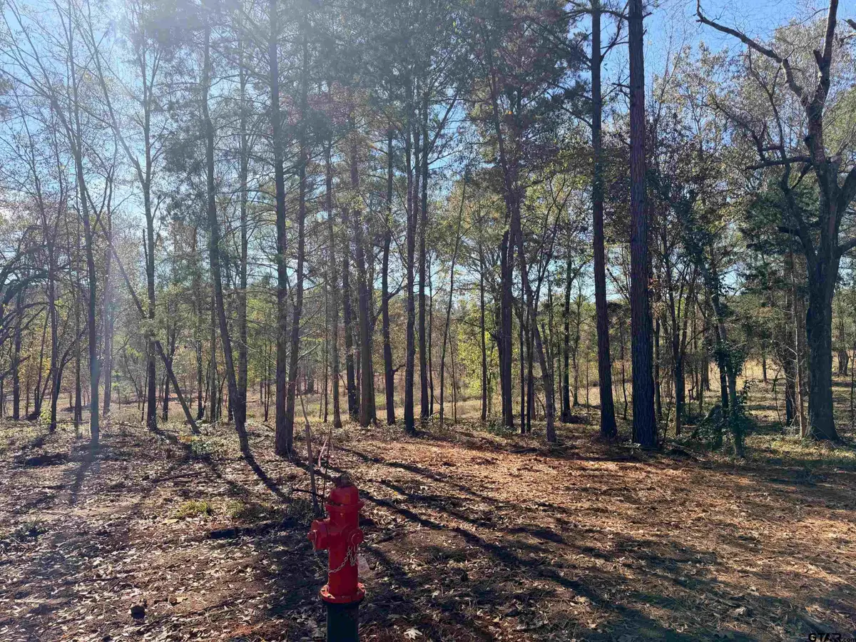 10719 Portside Circle, Tyler, TX 75708 - Image #1