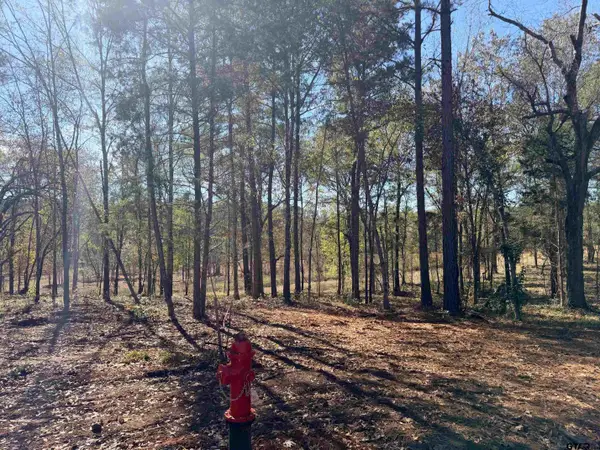 10719 Portside Circle, Tyler, TX 75708