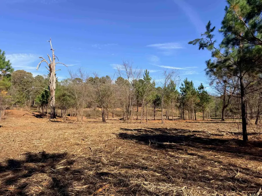 10719 Portside Circle, Tyler, TX 75708 - Image #2