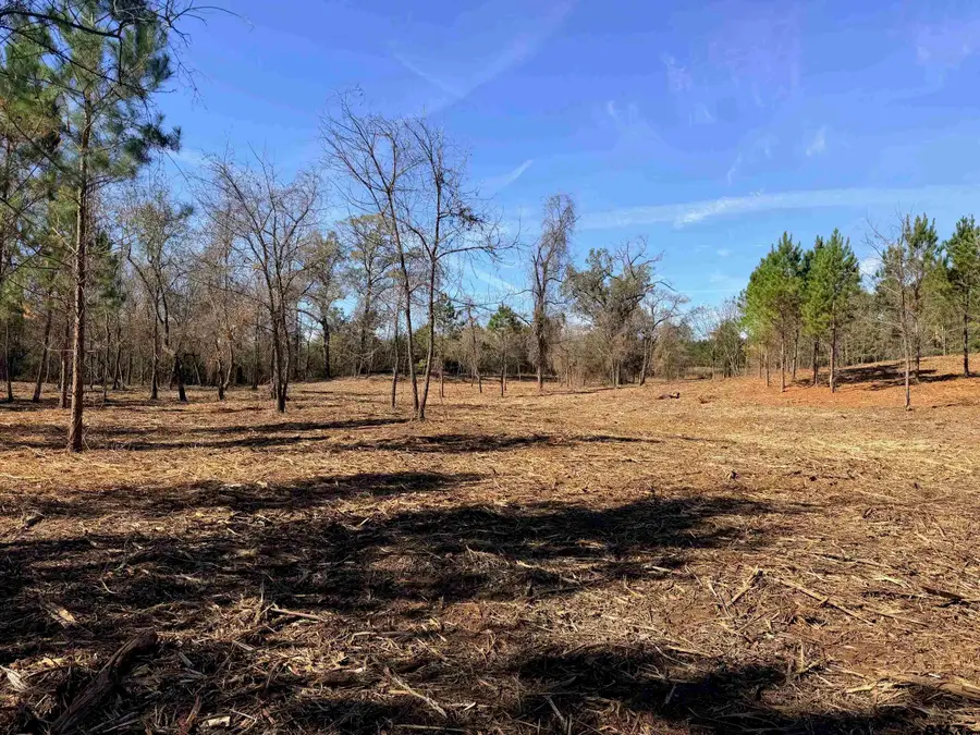 10719 Portside Circle, Tyler, TX 75708 - Image #3