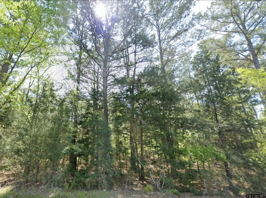 7087 FM 235 E, Jacksonville, TX 75766 - Image #2