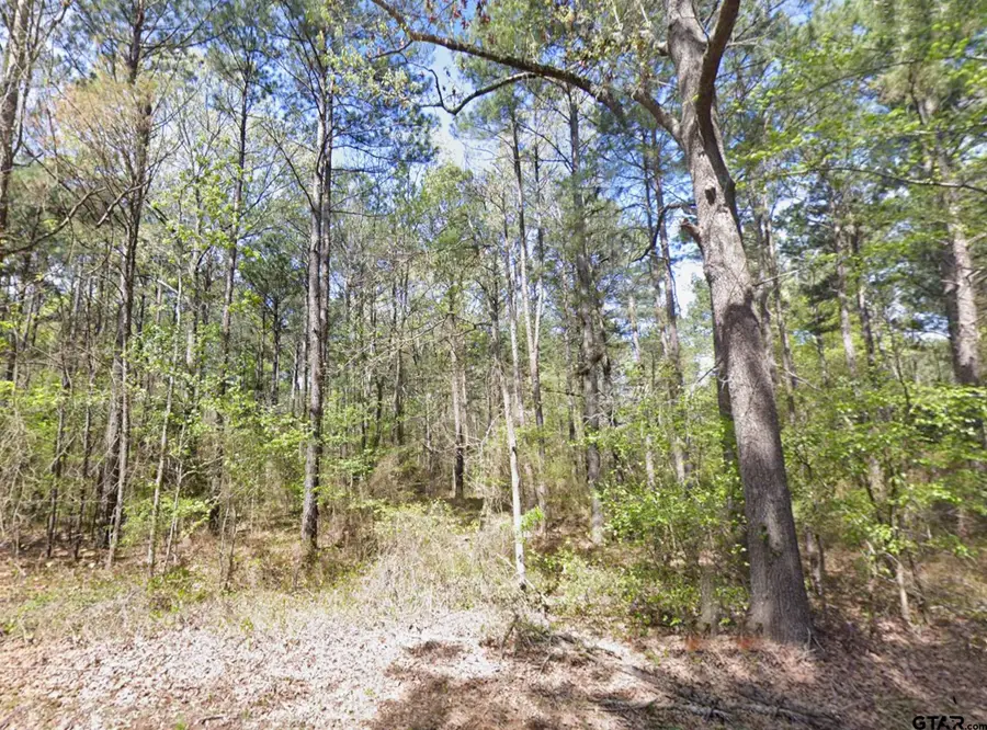 7087 FM 235 E, Jacksonville, TX 75766 - Image #3