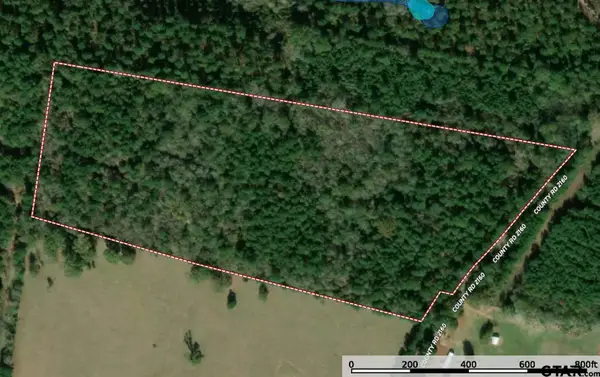 20923 County Road 2160, Troup, TX 75789