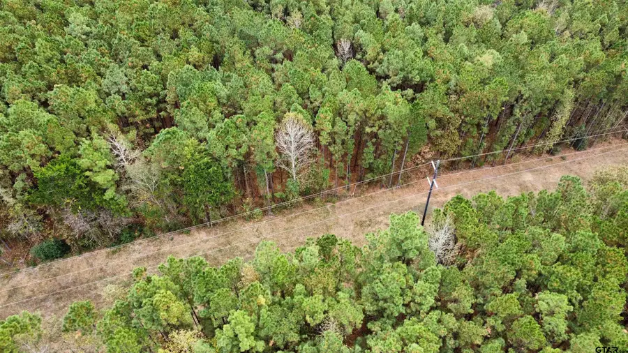 21521 County Road 2160, Troup, TX 75789 - Image #3