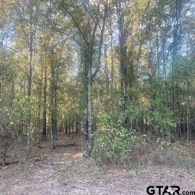 TBD County Road 2880, Mineola, TX 75773 - #2