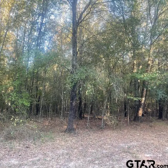 TBD County Road 2880, Mineola, TX 75773 - #3