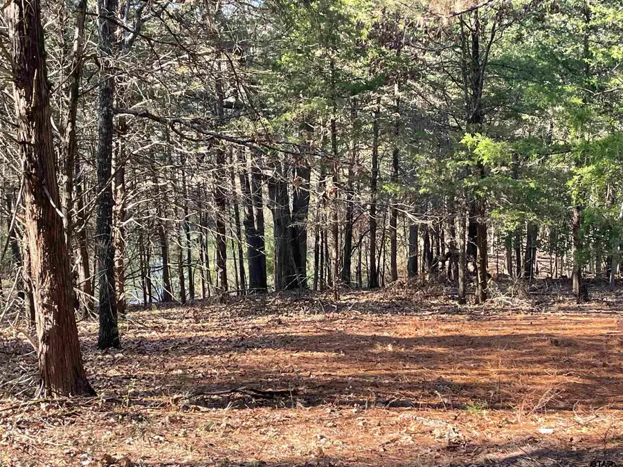 TBD CR 471, Tyler, TX 75706 - Image #2