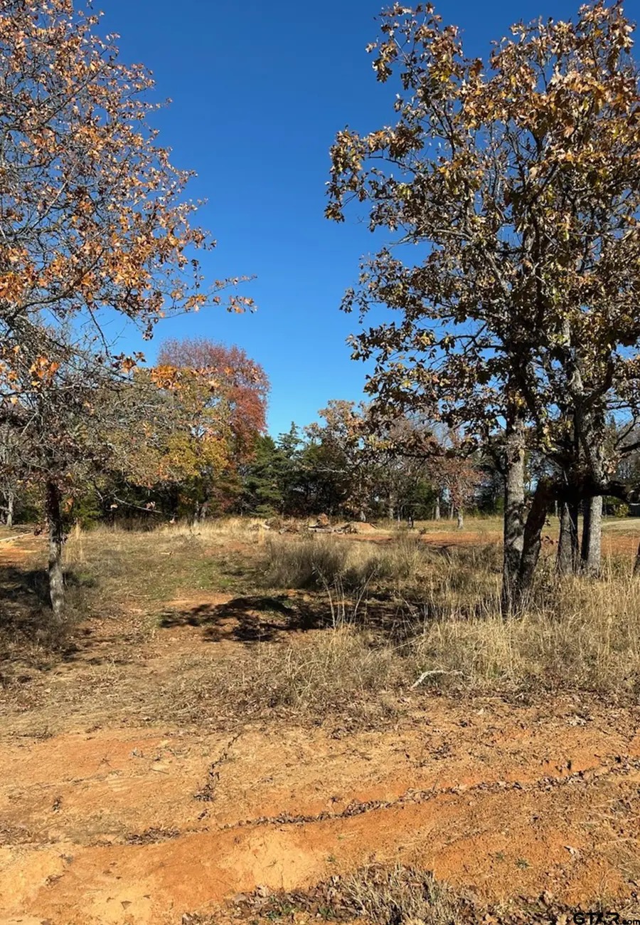 19668 Dove Ridge Dr, Lindale, TX 75771 - #2