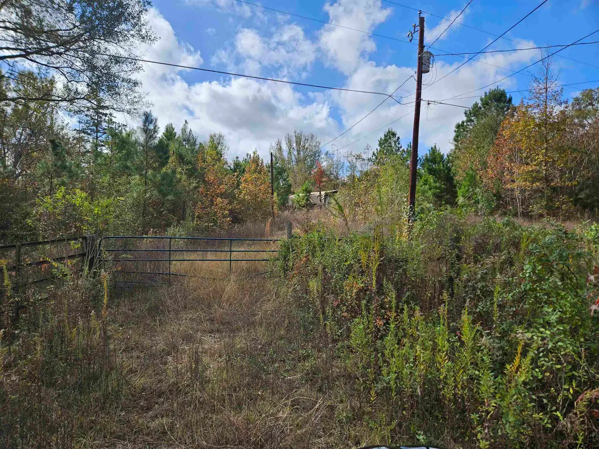 1225 County Rd 317, Tyler, TX 75706 - Image #1