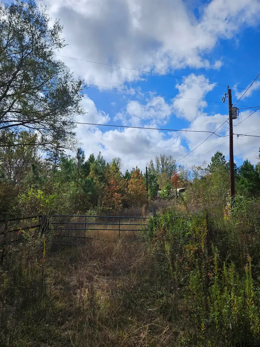 1225 County Rd 317, Tyler, TX 75706 - Image #2