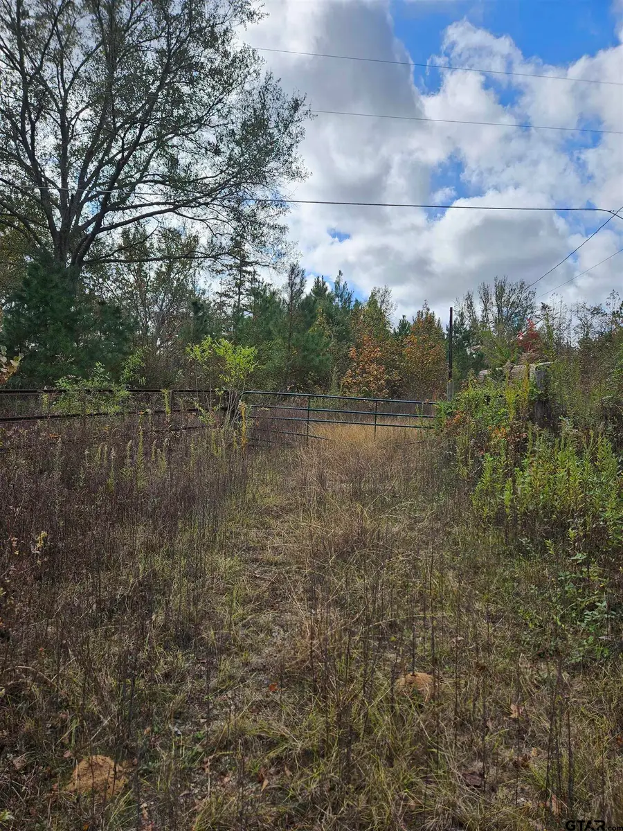 1225 County Rd 317, Tyler, TX 75706 - Image #3