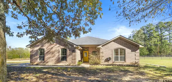 16785 S Lakeview Dr, Troup, TX 75789