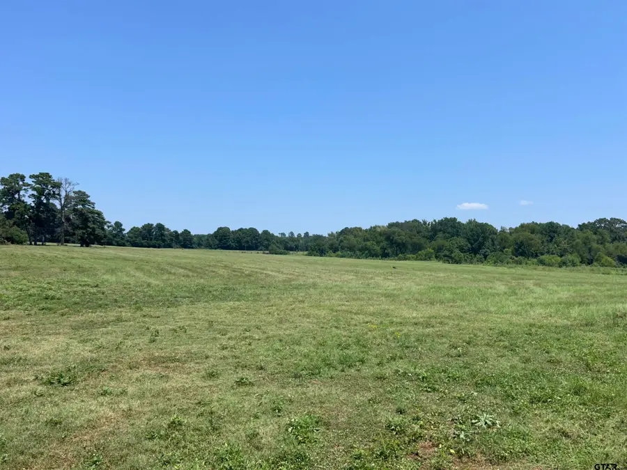 22173 HWY 135, Troup, TX 75789 - Image #2