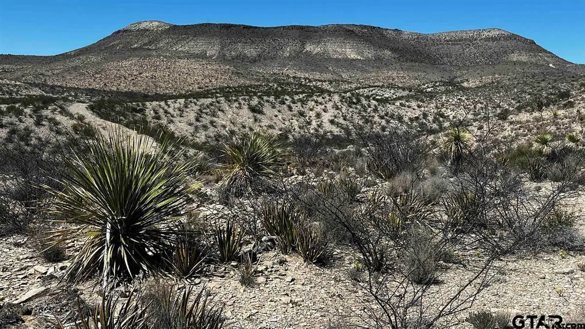10 Trachyte Pid 21196, Terlingua, TX 79852 - #1