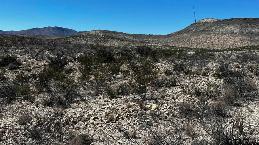 10 Trachyte Pid 21196, Terlingua, TX 79852 - #2