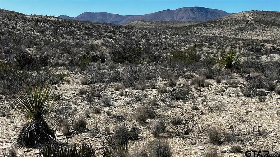 10 Trachyte Pid 21196, Terlingua, TX 79852 - #3