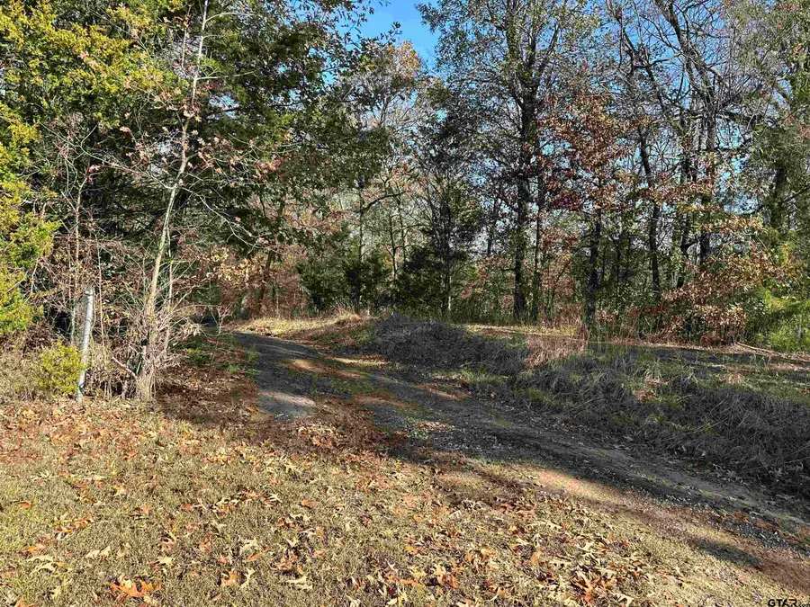 81 CR 2614, Pittsburg, TX 75686 - Image #2