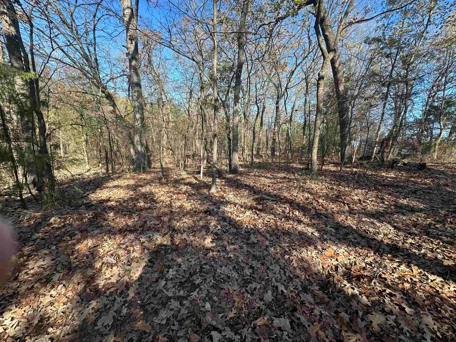 81 CR 2614, Pittsburg, TX 75686 - Image #3