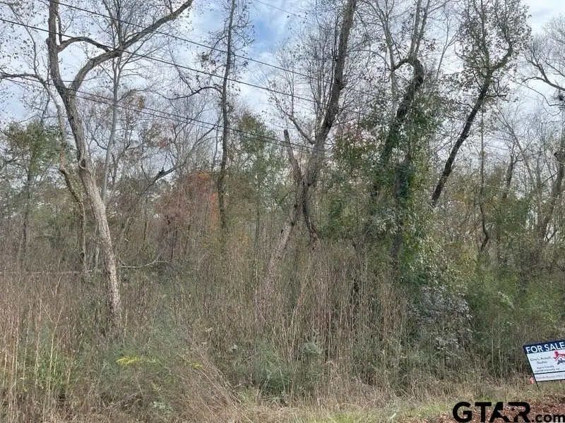 9707 W Lakeshore Dr., Tyler, TX 75709 - Image #2