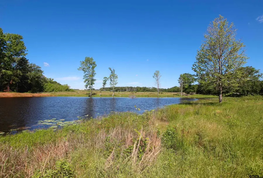 16391 Beacons Jet Ct, Lindale, TX 75771 - Image #3