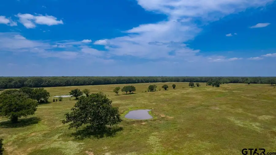175 Acres County Road 1148, Cumby, TX 75433 - Image #3