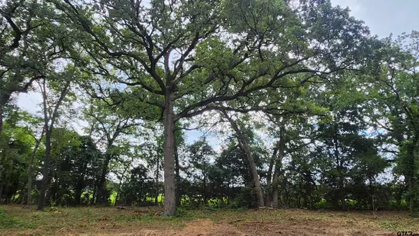 Lots 4,5,6 Holly Glen, Murchison, TX 75778