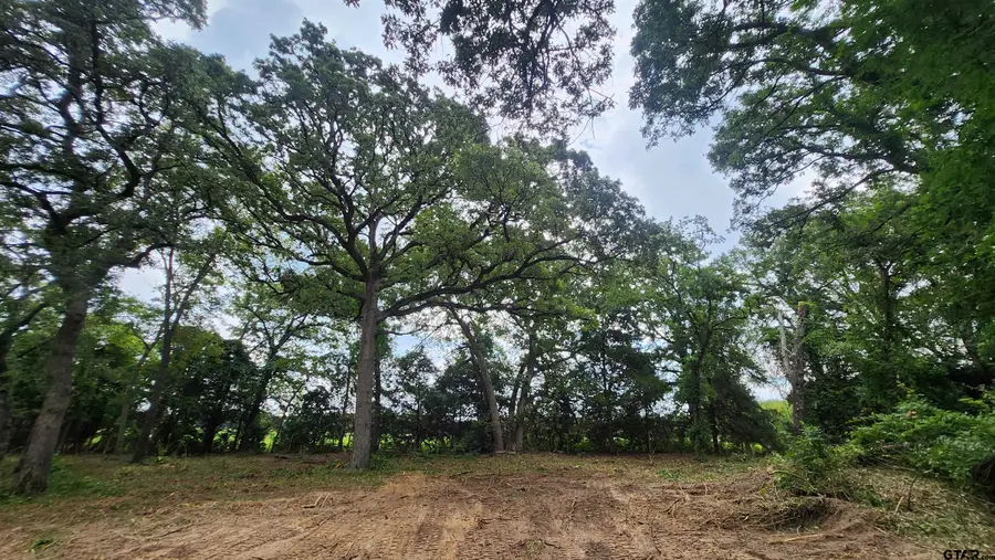 Lots 4,5,6 Holly Glen, Murchison, TX 75778 - #2