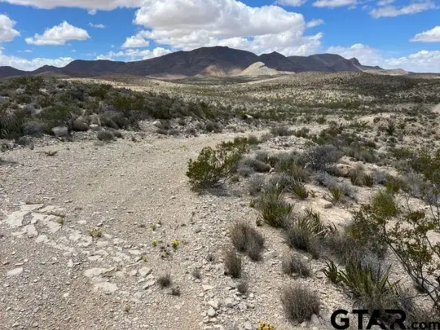 21231 Slate Springs, Terlingua, TX 79852 - #1
