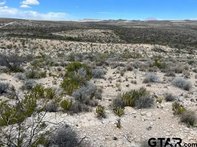 21231 Slate Springs, Terlingua, TX 79852 - #2