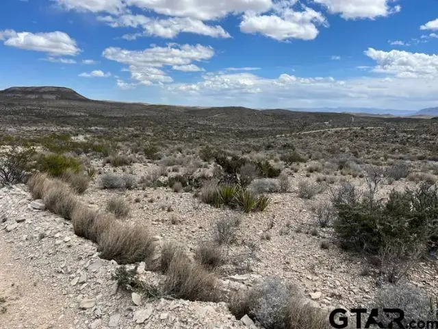 21231 Slate Springs, Terlingua, TX 79852 - #3