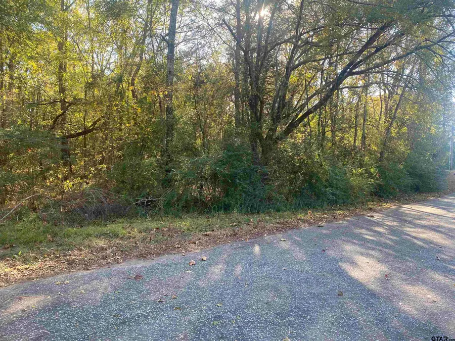 LOT 3 FM 2015, Lindale, TX 75771 - Image #2