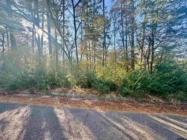 5785 Ramblewood Ln, Whitehouse, TX 75791