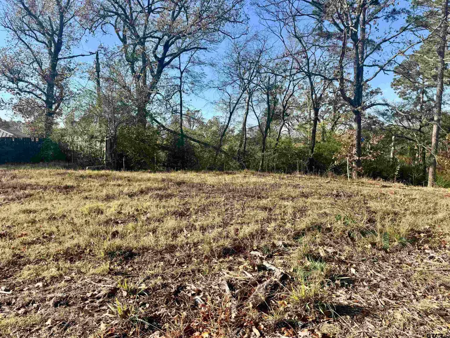 5785 Ramblewood Ln, Whitehouse, TX 75791 - Image #2