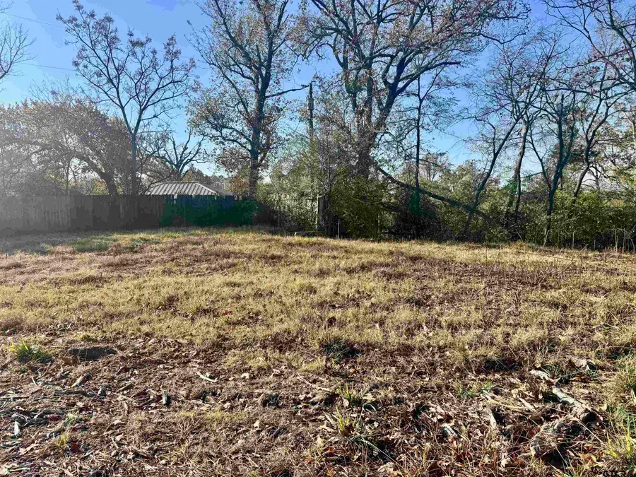 5785 Ramblewood Ln, Whitehouse, TX 75791 - Image #3