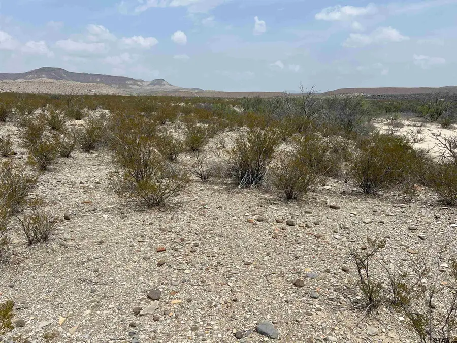 20865 & 66 Ivy PID 20865 & 66, Terlingua, TX 79852 - Image #2