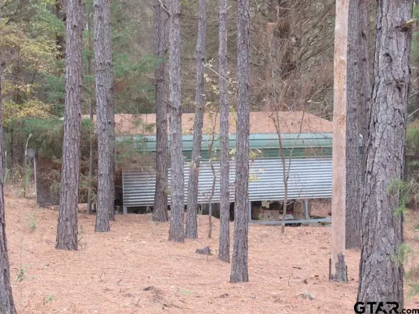 303 CR 2105, Palestine, TX 75803